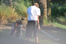 Enlarge photo 258