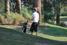 Enlarge photo 262