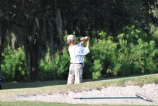 Enlarge photo 345