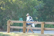 Enlarge photo 426
