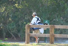 Enlarge photo 427