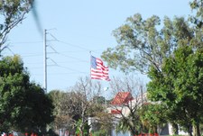 Enlarge photo 353