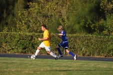 Enlarge photo 54