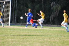 Enlarge photo 92