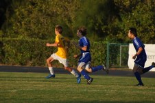 Enlarge photo 157