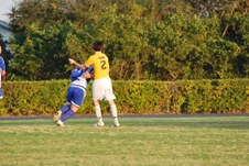 Enlarge photo 231