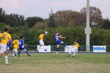 Enlarge photo 333