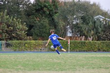 Enlarge photo 335