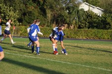 Enlarge photo 49