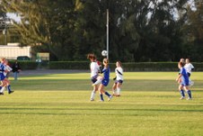 Enlarge photo 187