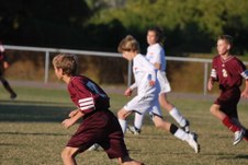 Enlarge photo 145