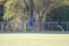 Enlarge photo 352