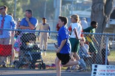 Enlarge photo 446