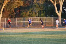 Enlarge photo 593