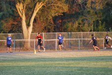 Enlarge photo 594