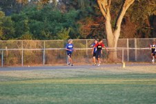 Enlarge photo 595