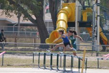 Enlarge photo 135