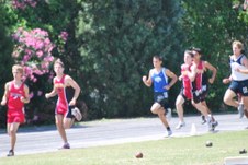 Enlarge photo 296