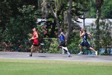 Enlarge photo 407