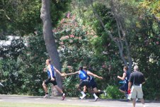 Enlarge photo 410
