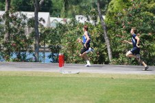 Enlarge photo 535