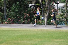 Enlarge photo 536