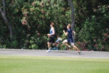 Enlarge photo 537