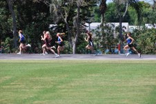 Enlarge photo 568