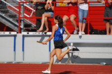 Enlarge photo 178