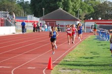 Enlarge photo 220