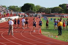 Enlarge photo 238