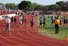 Enlarge photo 237
