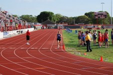 Enlarge photo 239