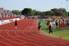 Enlarge photo 242