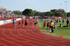 Enlarge photo 244