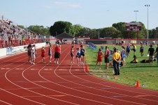 Enlarge photo 245
