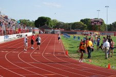 Enlarge photo 246