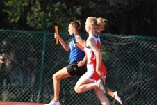 Enlarge photo 154