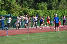 Enlarge photo 162