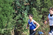 Enlarge photo 29