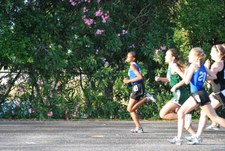 Enlarge photo 472
