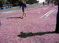 Enlarge MOV 630