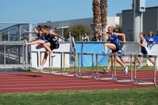 Enlarge photo 73