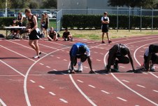 Enlarge photo 116
