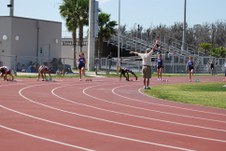 Enlarge photo 164