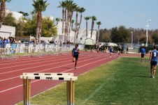 Enlarge photo 321