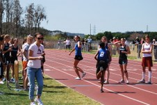 Enlarge photo 322
