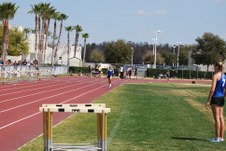 Enlarge photo 342