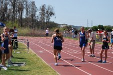 Enlarge photo 343