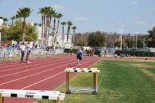 Enlarge photo 393